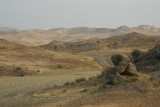 Stone partridge Azerbaijan  (3).jpg